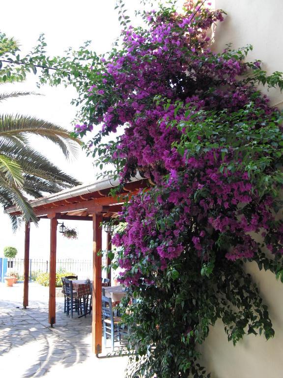 Kangaroo Hotel Mola Kalyva Bagian luar foto
